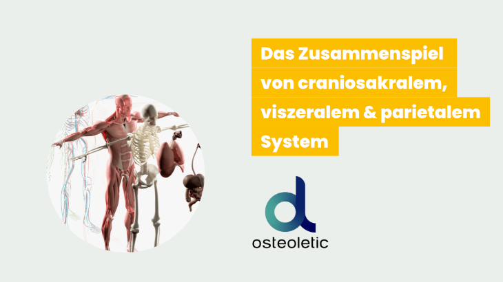 Informationsvideo zu Osteoletic Fitness & Osteopathische Massage