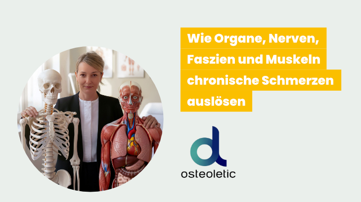 Osteoletic Videokurs - Osteopathischer Fitnesstrainer und Körperketten Methode