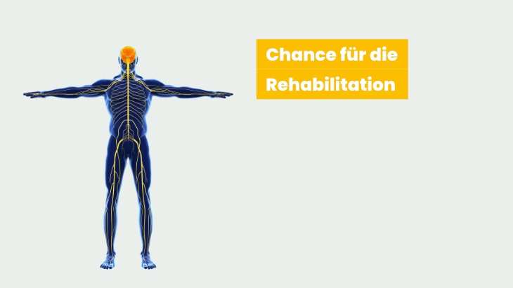 Plastizität des Nervensystems