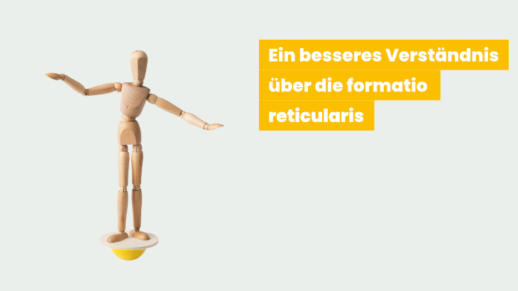 Voraussetzungen für die Aufmerksamkeit und posturale Kontrolle