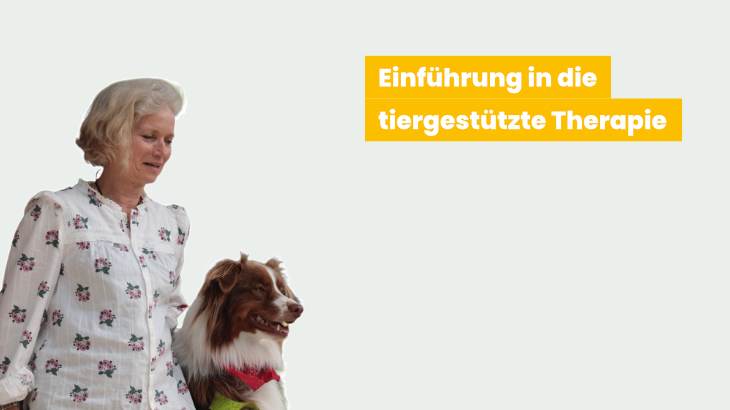 Therapiebegleithund für Therapeut:innen